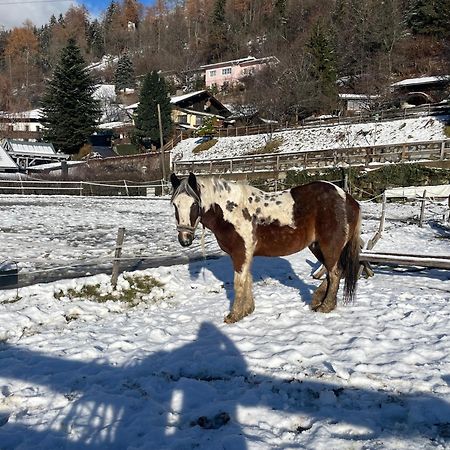 Bio-Bauernhof Auernig Villa Obervellach Eksteriør billede