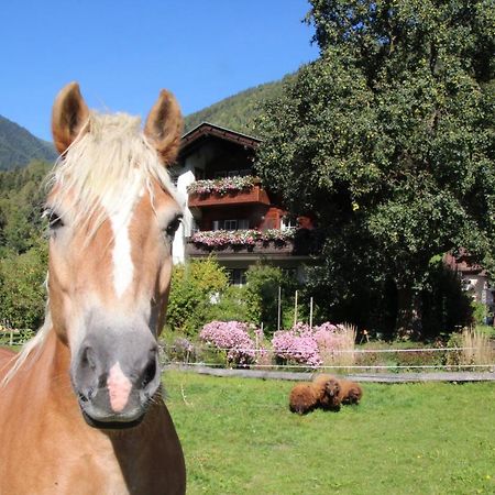 Bio-Bauernhof Auernig Villa Obervellach Eksteriør billede