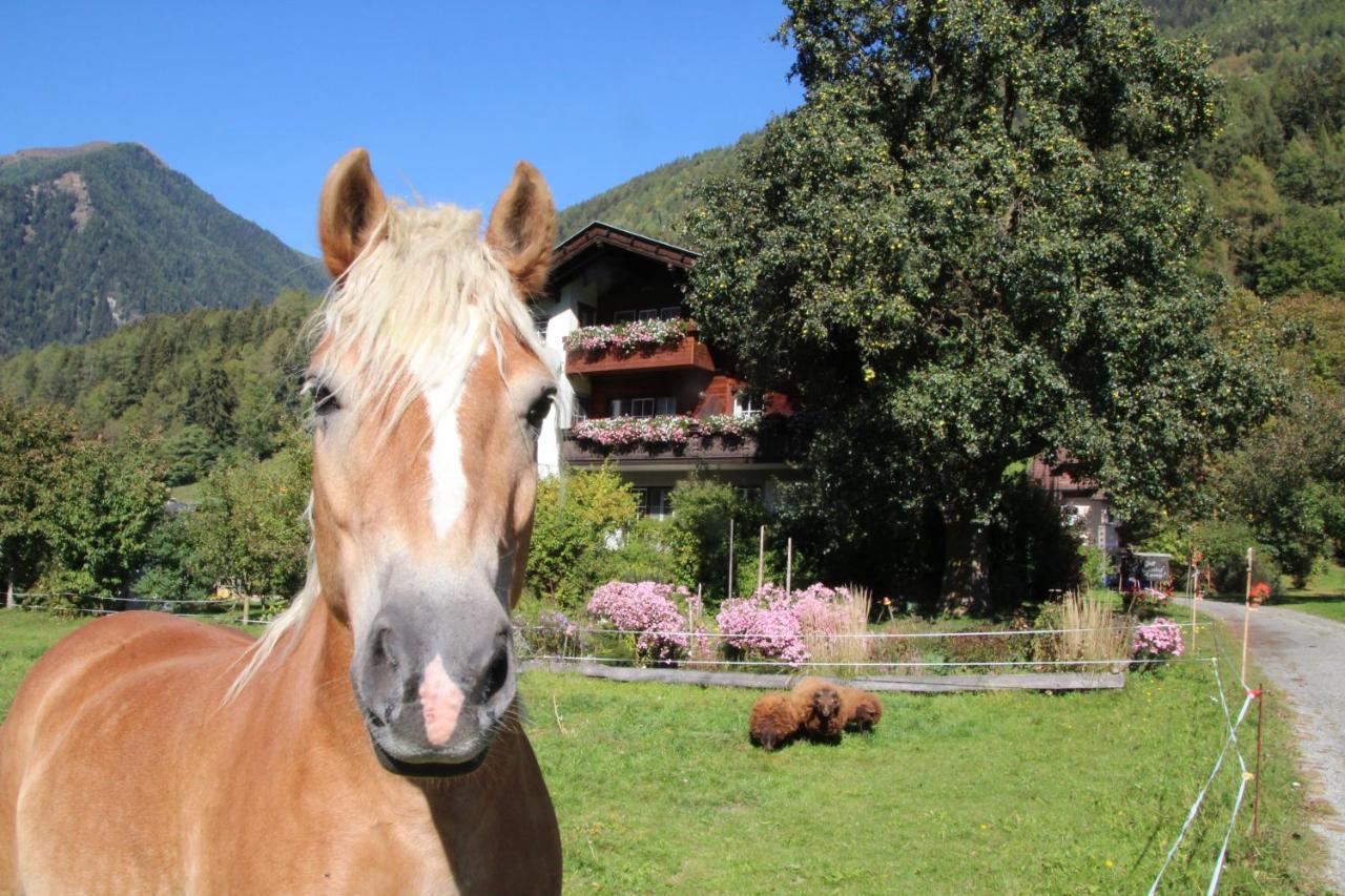 Bio-Bauernhof Auernig Villa Obervellach Eksteriør billede